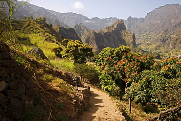 Fertile Paul Valley on Santo Antao Island, Cape Verde Islands, Africa