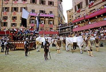 Historic Palio horse race, Carroccio, triumph wagon, with the trophy, the Palio, flag, Piazza Il Campo, Sienna, Tuscany, Italy, Europe