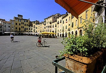 Piazza del Anfiteatro, Piazza Mercato, Ampitheatre, Lucca, Tuscany, Italy, Europe