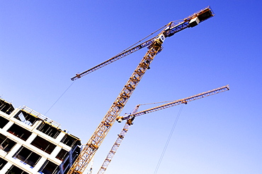 Cranes, construction site