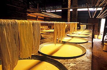 Bean curd sheet production, Mekong Delta, Vietnam, Asia