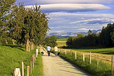 Elderly people walk on a country lane, canton of Fribourg, Switzerland