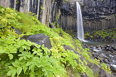 Svartifoss Falls, Skaftafell National Park, Iceland, Atlantic Ocean