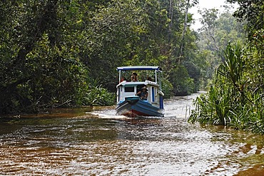 Boat (Klotok) on river Sungai Sekonyer in Tanjung Puting National Park, Central-Kalimantan, Borneo, Indonesia