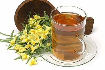 Herb tea made of yellow toadflax, Linaria vulgaris, Linaria