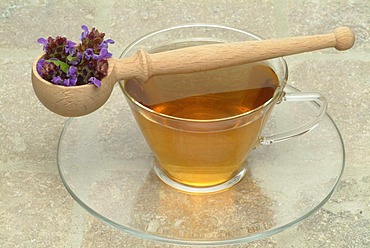 Herb tea made of Prunella, carpenter's herb, Prunella vulgaris