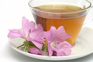 Herb tea made of Musk mallow, medicinal tea, Malva moschate