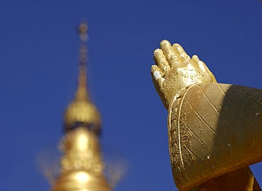 Praying hands, Pagan, Bagan, Myanmar, Burma