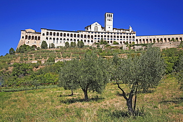 Basilika San Francesco, Assisi, Umbrien, Italien