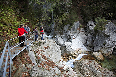 Poellath gorge below Neuschwanstein Castle, Schwangau, Bavaria, Germany