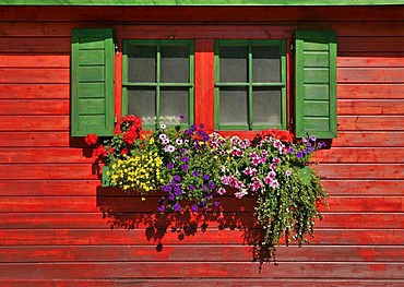 Flower boxes at a hut