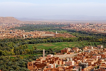 Oasis landscape, Tinerhir, Quarzazate, Morocco, North Africa