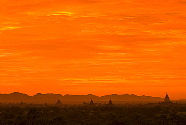 Pagoda field of Bagan at sunset, Bagan, Myanmar, Southeast Asia