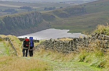 Thorngrafton, GBR, 19. Aug. 2005 - Ruins of the Hadrians Wall nearby the ruins of Housesteads Fort nearby Thorngrafton in Norththumberland.