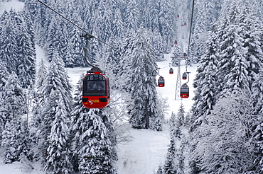 Gondola cableway passing through wintry spruce forest, going from the Krienseregg up to the Fraekmuentegg, Lucerne, Switzerland, Europe