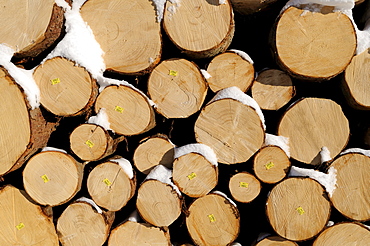 Stacked logs used for construction