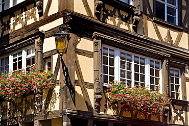 Window, half-timbered house, Petite France, Strasbourg, Alsace, France, Europe