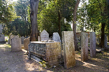 Graves in the Jewish cemetery, Lido, Venice, Venetian Lagoon, Italy, Europe