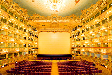 Interior, Teatro La Fenice, Venezia, Venice, Italy, Europe