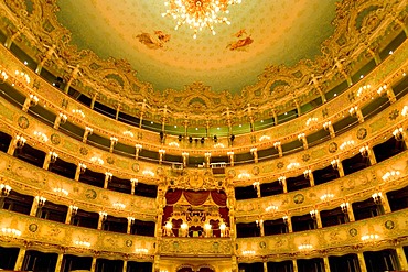 Interior, Audience Box Seating, Teatro La Fenice, Venezia, Venice, Italy, Europe