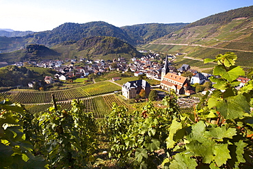 View of Mayschoss, vinyards, Ahrtal Valley, Eifel Range, Rhineland-Palatinate, Germany, Europe