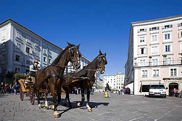 Carriage, Alter Markt, old market, Salzburg, Austria, Europe