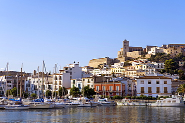 View over the harbour of the historic centre of Dalt Vila, Ibiza, Balearic Islands, Spain, Europe