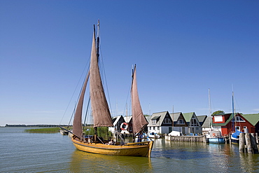 Zeesenboot, a type of sailboat, in Boddenhafen Harbour, Ahrenshoop-Altenhagen, Fischland, Baltic Sea, Mecklenburg-Western Pomerania, Germany, Europe