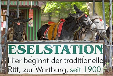 The donkey station below the Wartburg Castle, Eisenach, Thuringia, Germany