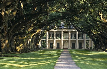 Oak Alley Plantation at the Mississippi river