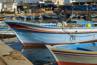 Fish market in Tripoli, Libya