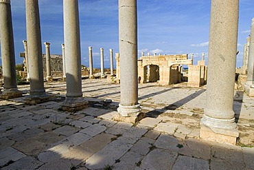 Columns in front of the theater at Leptis Magna, Unesco world heritage site, Libya