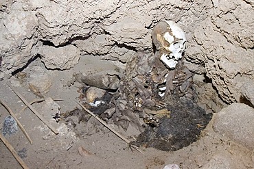 Mummy in a cave at San Juan del Rosario, Bolivia