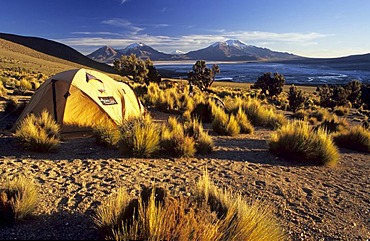 Camp at Cerro Rojo, Salar de Surire, Reserva Nacional de las Vicunas, Lauca National Park, Chile