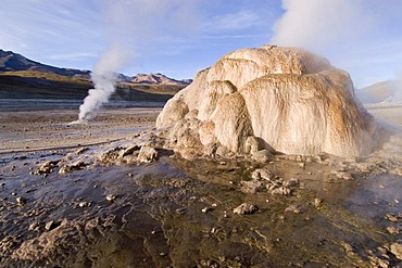 Geyser at the geyserfiel of El Tatio, Chile