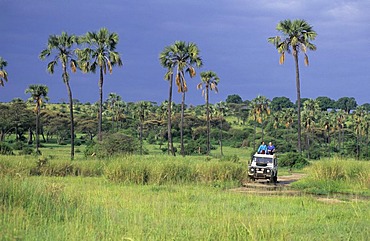 Landrover on a dirt road in Tarangire national park, Tanzania