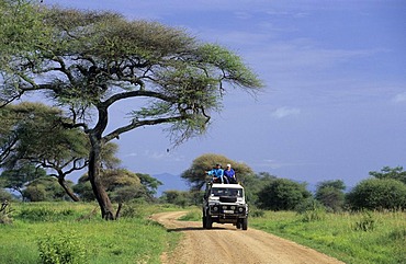 Landrover on a dirt road in Tarangire national park, Tanzania