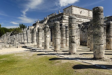 Templo de los Guerreros, temple of the warriors, Maya and Toltec archeological site Chichen Itza, new worldwonder, Yucatan, Mexico