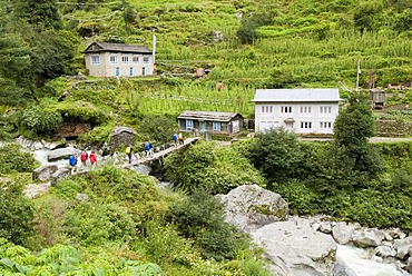 Trekking group, Solukhumbu, Khumbu, Mount Everest Region, Nepal