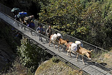 Swing bridge made of steel over Dudh Koshi river, Solukhumbu, Khumbu, Mount Everest region, Nepal