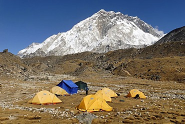 Tent camp at the Sherpa village of Lobuche with Nuptse (7861), Sagarmatha National Park, Khumbu Himal, Nepal