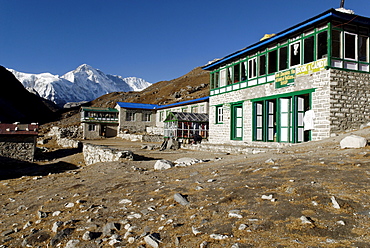 Trekking lodge at Gokyo with Cho Oyu (8201), Sagarmatha National Park, Khumbu Himal, Nepal