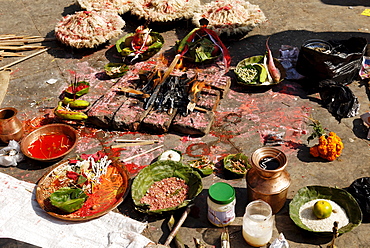 Traditional sacifice at Kumbeshwar Temple, Patan, Lalitpur, Kathmandu, Nepal