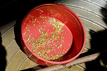 Gold production at Dawson City, Yukon Territory, Canada