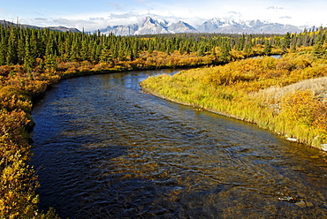 Jarvis River, Kluane National Park, Yukon Territory, Canada