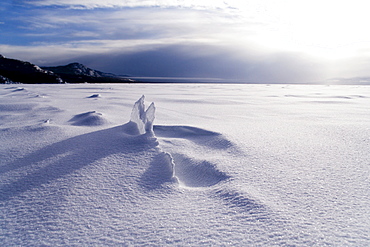 Ice floe and snow drifts, Lake Laberge, Yukon Territory, Canada