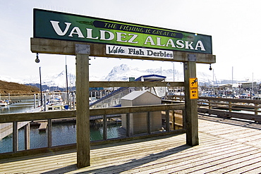 Valdez Fish Derbies, sign, Small Boat Harbour, Valdez, Prince William Sound, Alaska, USA