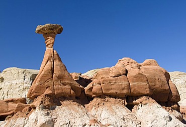 Toadstool Hoodoos, Utah, USA