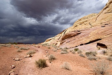 Valley of Fire State Park, Nevada, USA