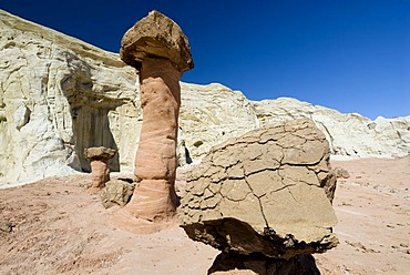 Toadstool Hoodoos, Utah, USA